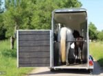 Pferdeanhänger Cheval Liberté – 1,5 Plätze Touring One