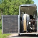 Pferdeanhänger Cheval Liberté – 1,5 Plätze Touring One