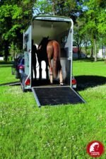 Pferdeanhänger Cheval Touring One – 1,5 Plätze – Bild 7